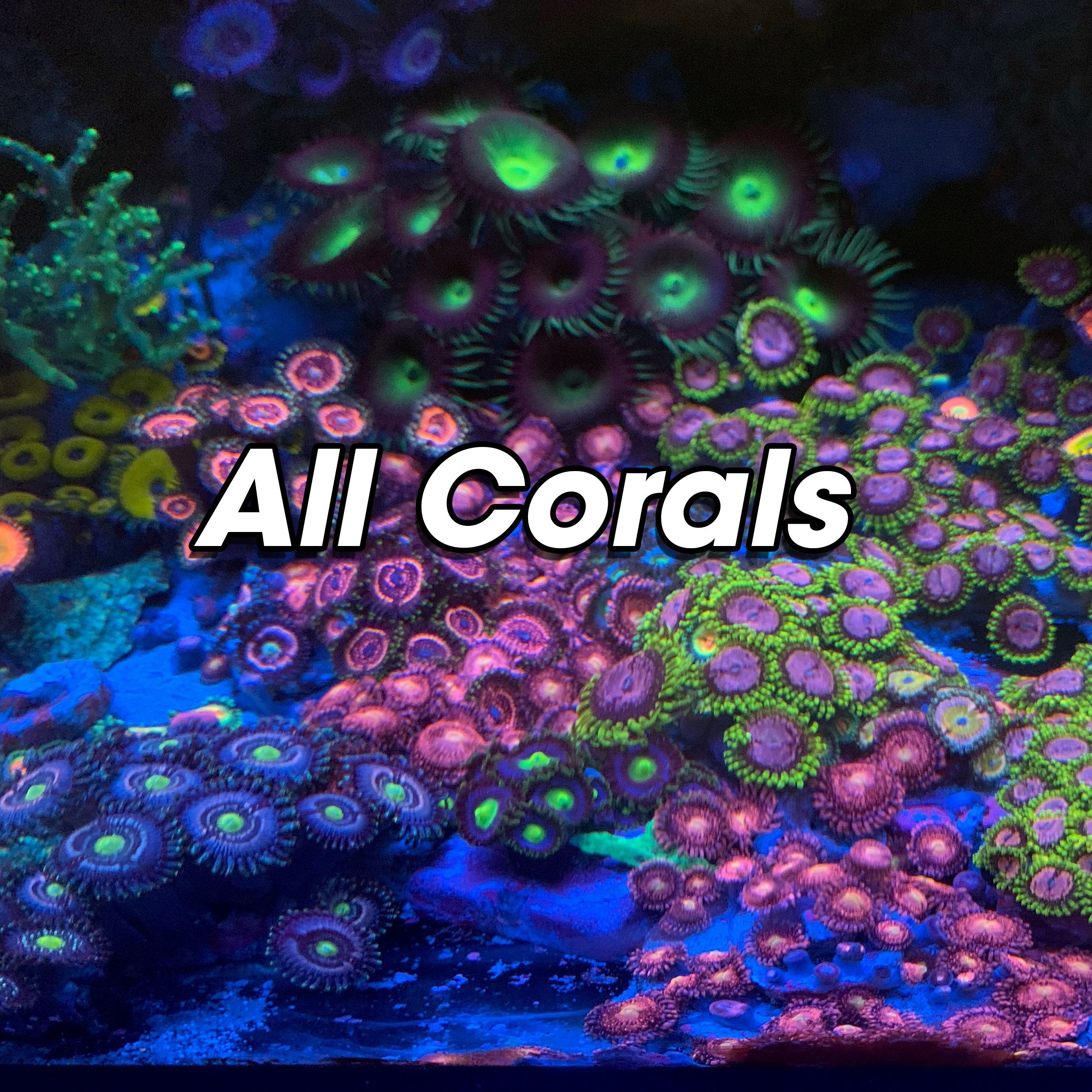 All Corals